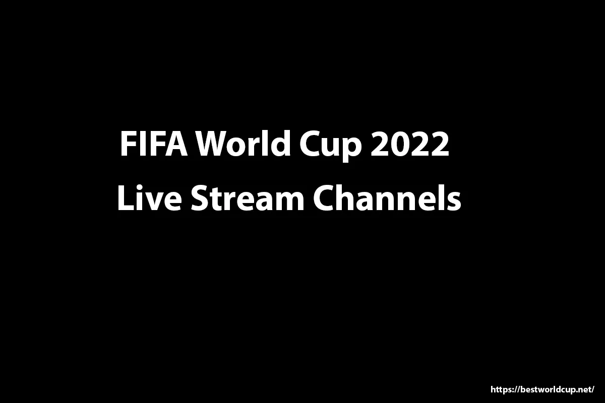 FIFA World Cup Live Streaming
